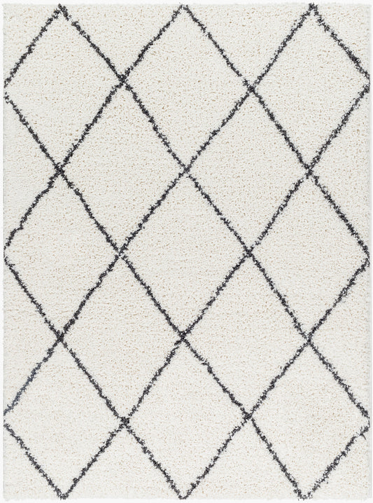 Birmingham BMM-2318 5' x 7' Machine Woven Area Rug