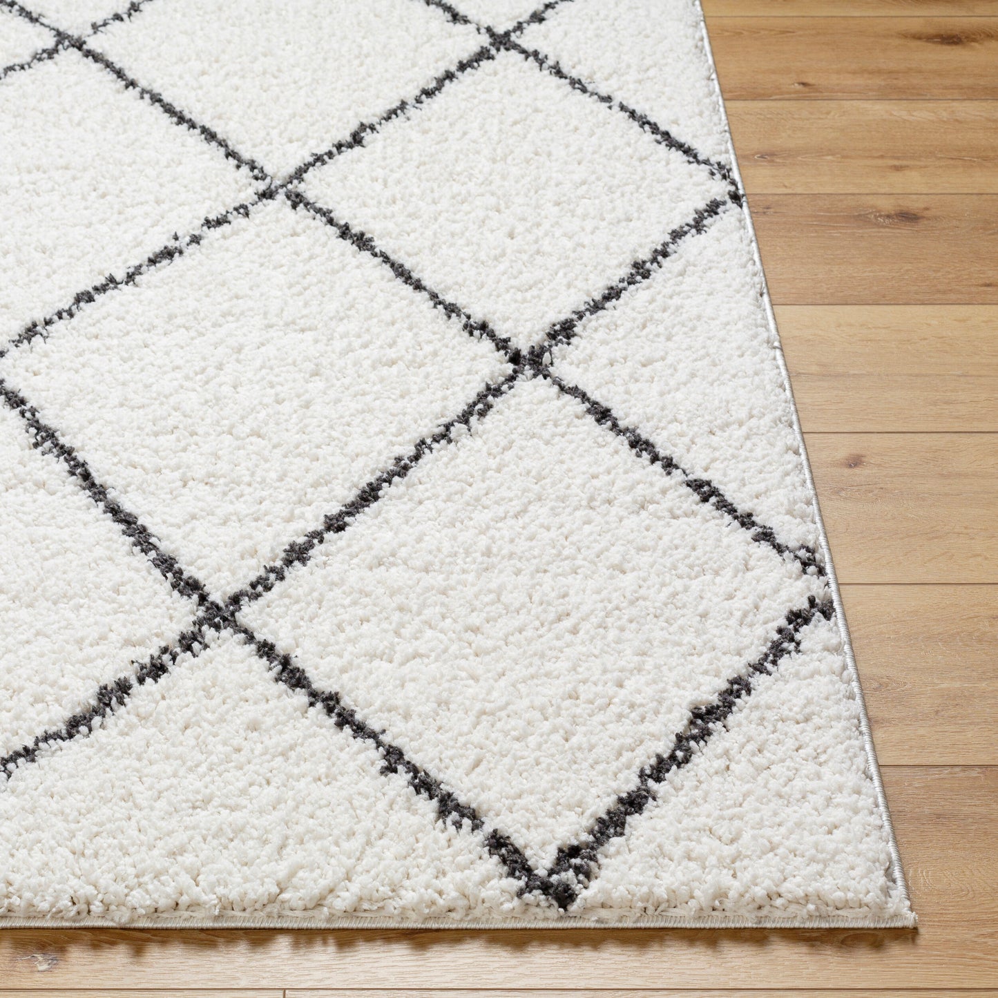 Birmingham BMM-2318 5' x 7' Machine Woven Area Rug