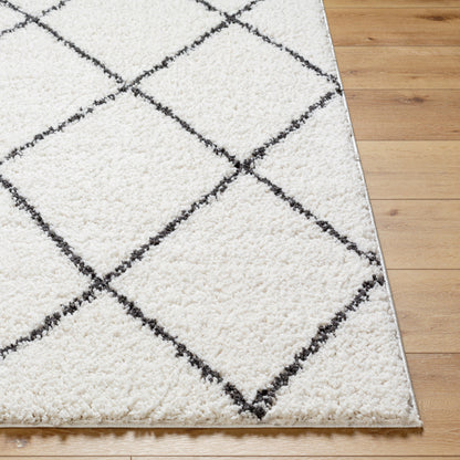 Birmingham BMM-2318 8' x 10' Machine Woven Area Rug