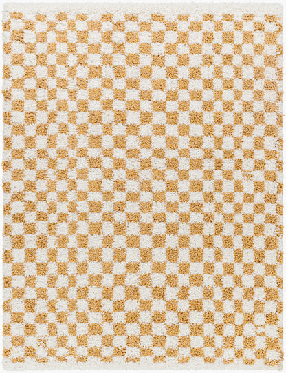 Birmingham BMM-2323 5' x 7' Machine Woven Area Rug