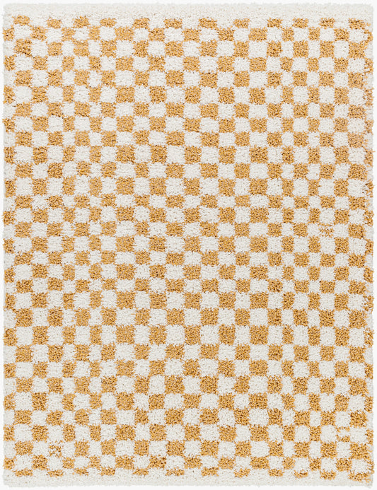 Birmingham BMM-2323 5' x 7' Machine Woven Area Rug