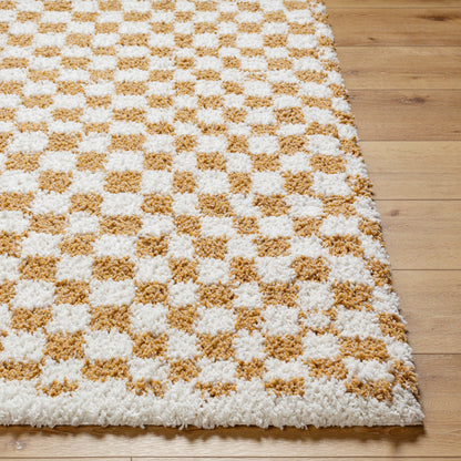 Birmingham BMM-2323 5' x 7' Machine Woven Area Rug