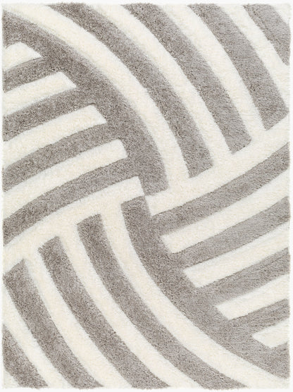 Bologna BOG-2303 5' x 7' Machine Woven Area Rug