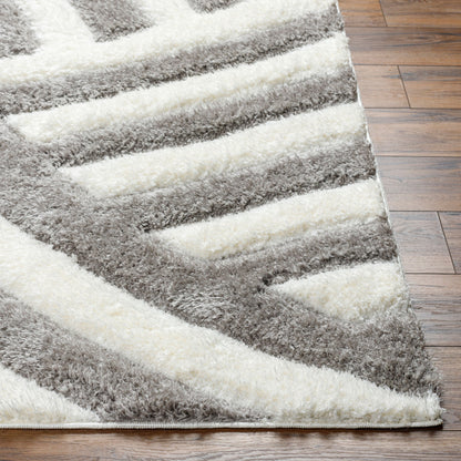 Bologna BOG-2303 5' x 7' Machine Woven Area Rug