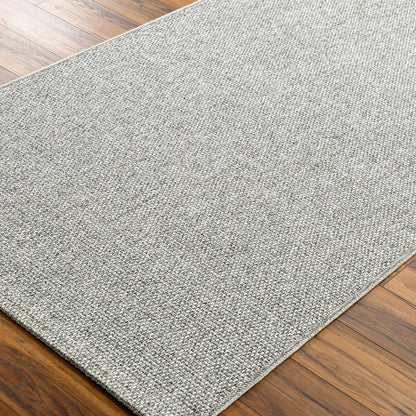 Birdie BORD-2302 2' x 3' Machine Woven Indoor/Outdoor Accent Rug