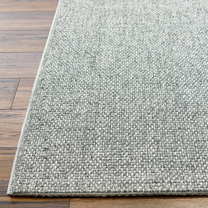 Birdie BORD-2302 2' x 3' Machine Woven Indoor/Outdoor Accent Rug
