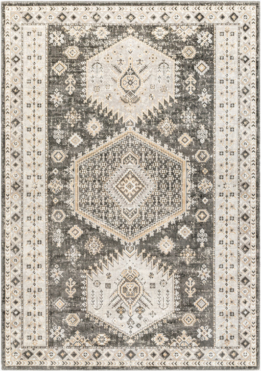 Alfombra decorativa tejida a máquina Basel BOS-2303 de 2' x 3'