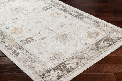 Alfombra decorativa tejida a máquina Basel BOS-2308 de 2' x 3'