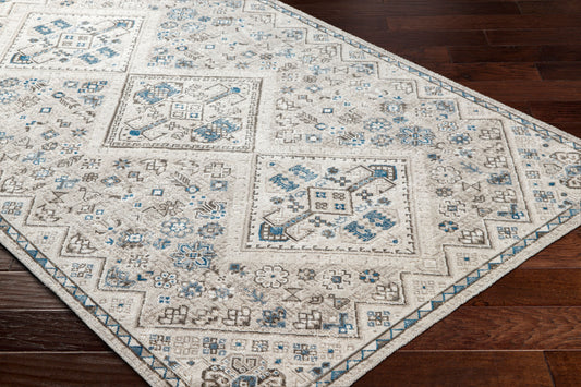 Basel BOS-2311 2' x 3' Machine Woven Accent Rug