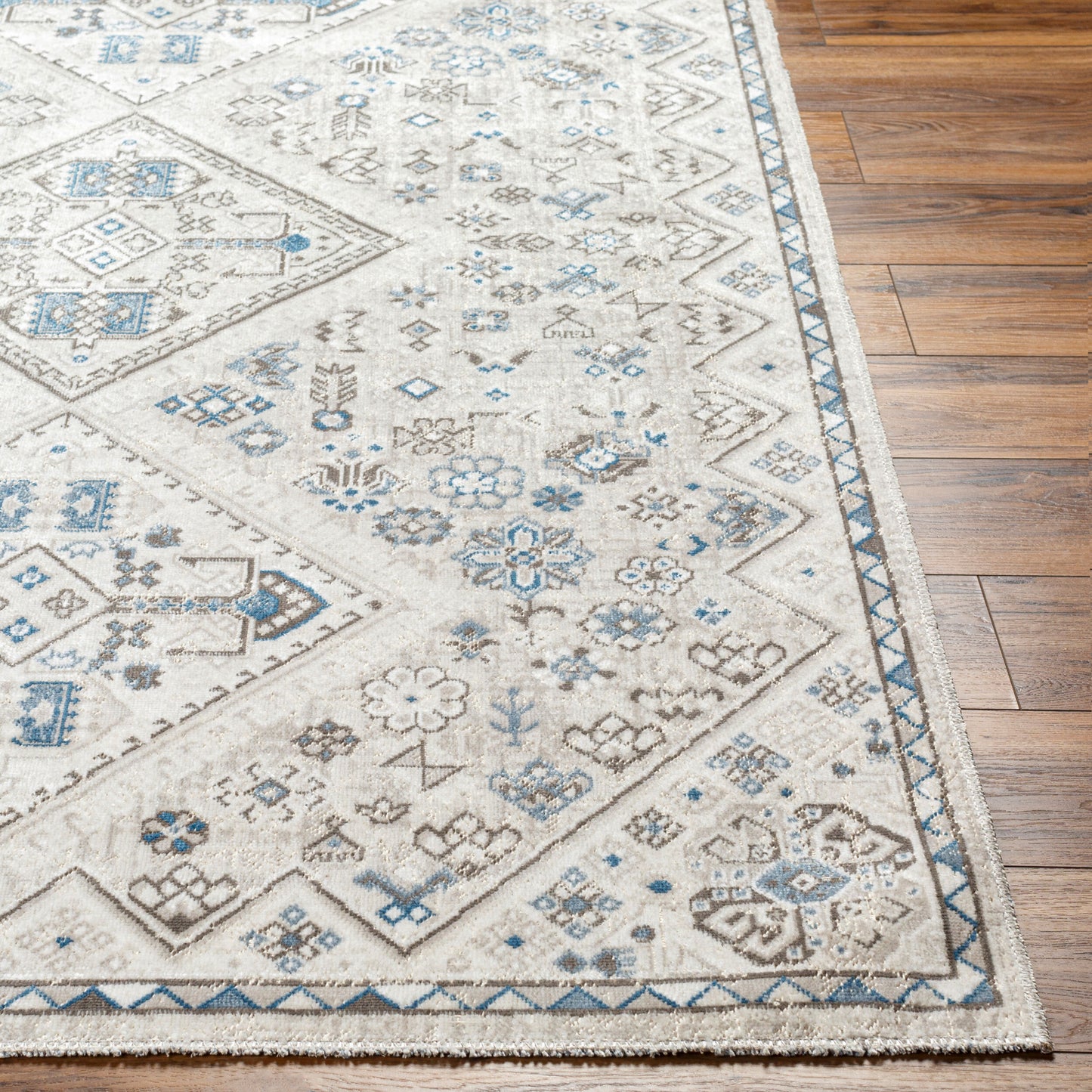 Basel BOS-2311 2' x 3' Machine Woven Accent Rug