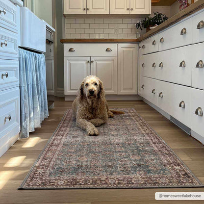 Colin CLN-2310 Machine Woven Rug