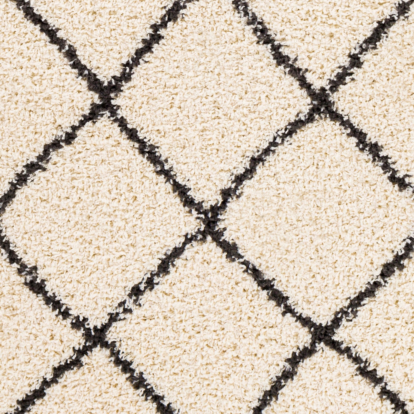 Beni Shag BSH-2301 6' x 9' Machine Woven Area Rug