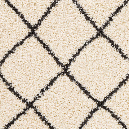 Beni Shag BSH-2301 6' x 9' Machine Woven Area Rug