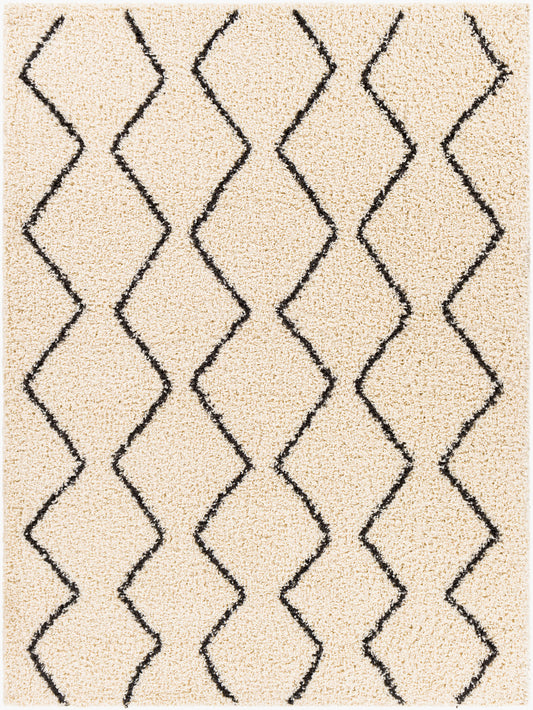 Beni Shag BSH-2302 5' x 7' Machine Woven Area Rug