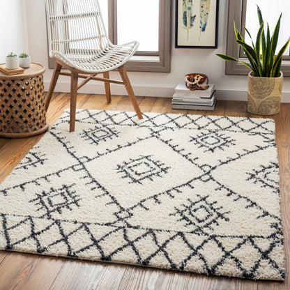 Beni Shag BSH-2303 8' x 10' Machine Woven Area Rug