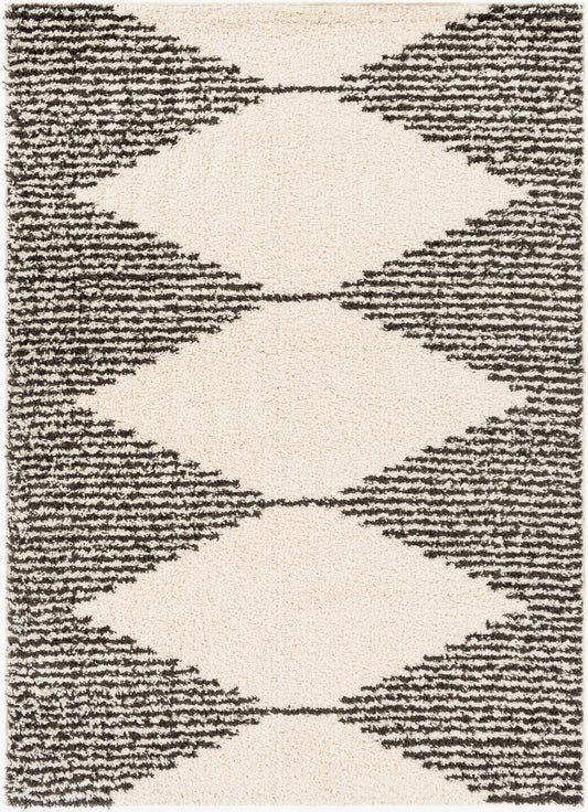 Beni Shag BSH-2308 5' x 7' Machine Woven Area Rug