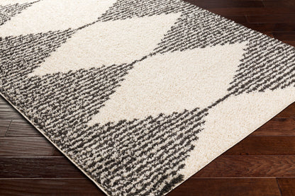 Beni Shag BSH-2308 5' x 7' Machine Woven Area Rug