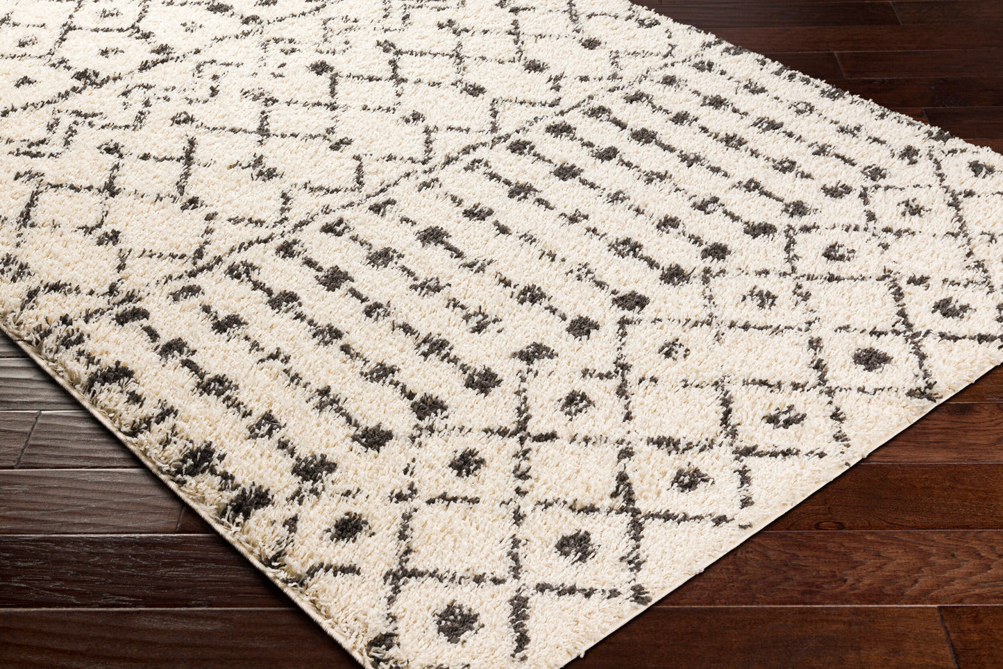 Beni Shag BSH-2309 5' x 7' Machine Woven Area Rug