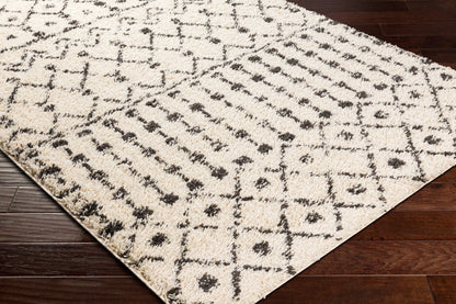 Beni Shag BSH-2309 8' x 10' Machine Woven Area Rug