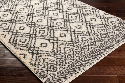 Beni Shag BSH-2310 5' x 7' Machine Woven Area Rug
