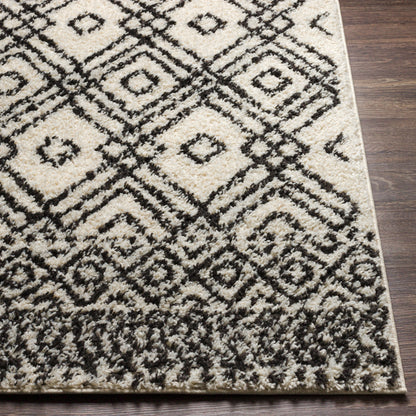 Beni Shag BSH-2310 8' x 10' Machine Woven Area Rug