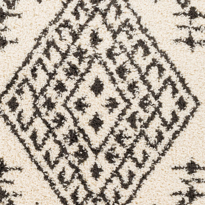 Beni Shag BSH-2311 5' x 7' Machine Woven Area Rug