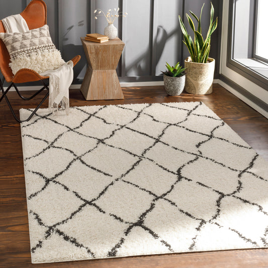 Beni Shag BSH-2312 6' x 9' Machine Woven Area Rug