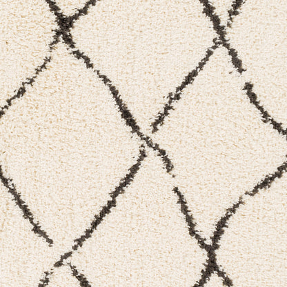 Beni Shag BSH-2312 6' x 9' Machine Woven Area Rug