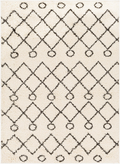 Beni Shag BSH-2313 5' x 7' Machine Woven Area Rug
