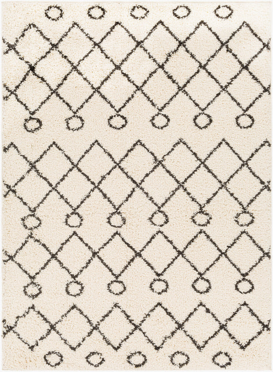 Beni Shag BSH-2313 5' x 7' Machine Woven Area Rug