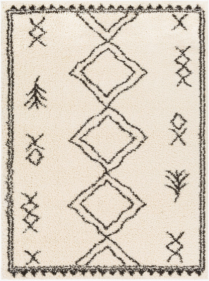 Beni Shag BSH-2316 5' x 7' Machine Woven Area Rug