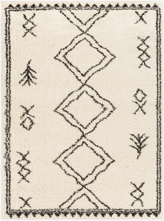 Beni Shag BSH-2316 5' x 7' Machine Woven Area Rug