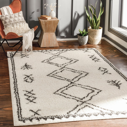 Beni Shag BSH-2316 5' x 7' Machine Woven Area Rug