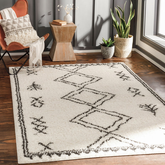 Beni Shag BSH-2316 5' x 7' Machine Woven Area Rug