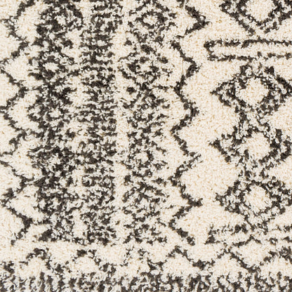 Beni Shag BSH-2317 5' x 7' Machine Woven Area Rug