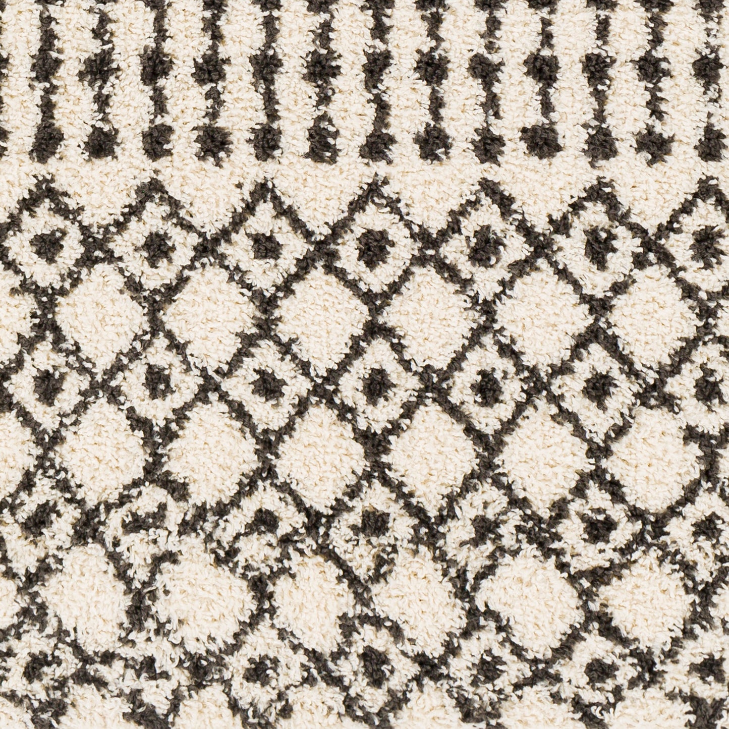 Beni Shag BSH-2319 5' x 7' Machine Woven Area Rug