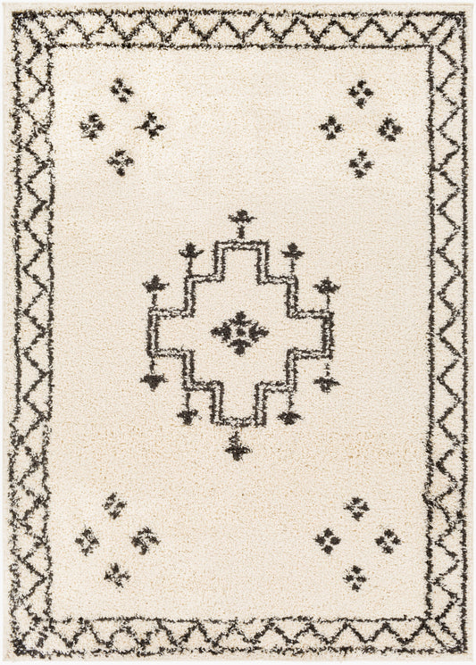 Beni Shag BSH-2320 5' x 7' Machine Woven Area Rug