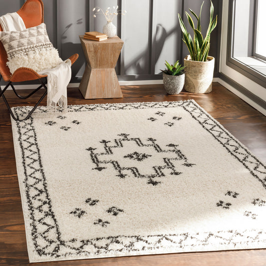 Beni Shag BSH-2320 5' x 7' Machine Woven Area Rug