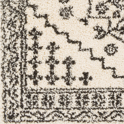 Beni Shag BSH-2321 5' x 7' Machine Woven Area Rug