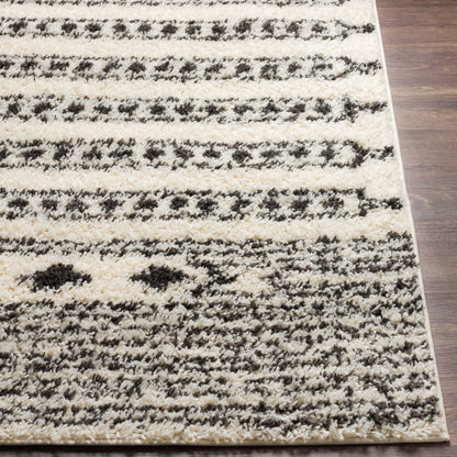 Beni Shag BSH-2323 5' x 7' Machine Woven Area Rug