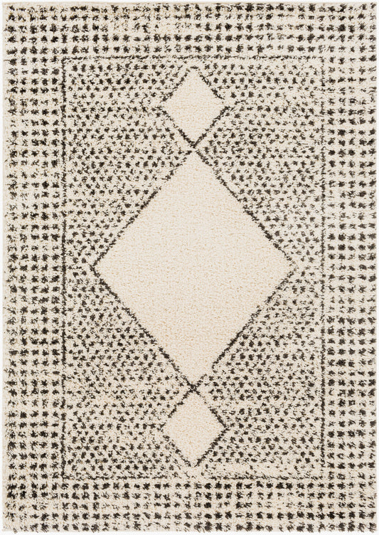 Beni Shag BSH-2332 5' x 7' Machine Woven Area Rug