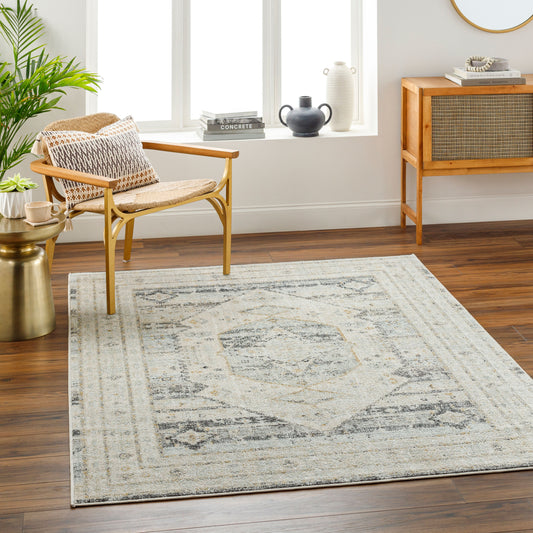 Bitlis BSI-2300 9' x 12' Machine Woven Area Rug