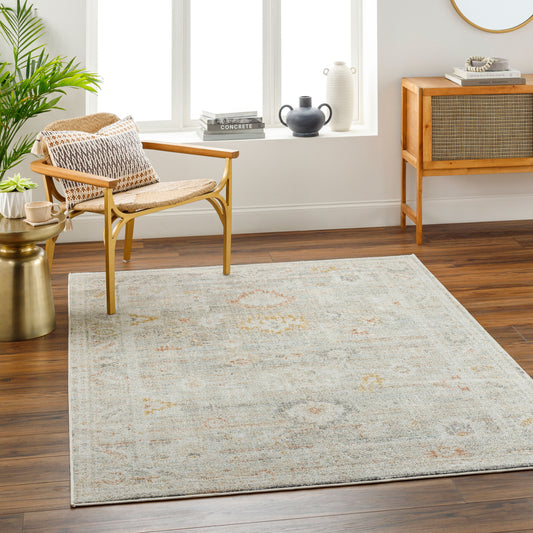 Bitlis BSI-2302 8' x 10' Machine Woven Area Rug