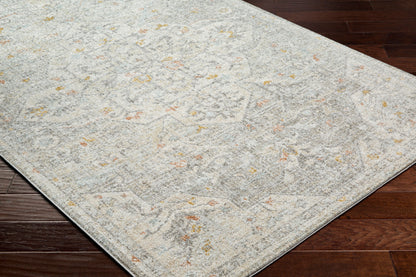 Bitlis BSI-2306 5' x 7' Machine Woven Area Rug