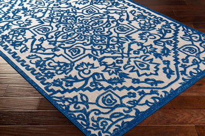 Big Sur BSR-2301 8' x 10' Machine Woven Indoor/Outdoor Area Rug