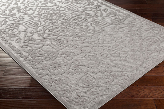 Big Sur BSR-2302 2' x 3' Machine Woven Indoor/Outdoor Accent Rug