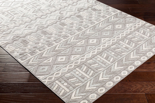 Big Sur BSR-2311 5' x 7' Machine Woven Indoor/Outdoor Area Rug