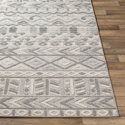 Big Sur BSR-2311 5' x 7' Machine Woven Indoor/Outdoor Area Rug