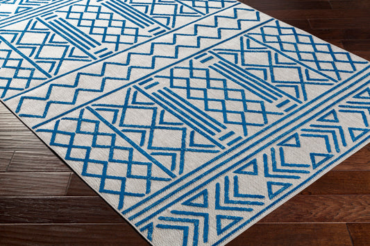 Big Sur BSR-2315 2' x 3' Machine Woven Indoor/Outdoor Accent Rug