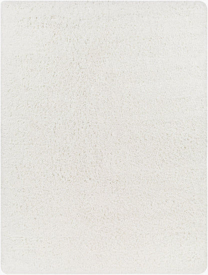 Bogota Shag BTG-2300 6' x 9' Machine Woven Area Rug